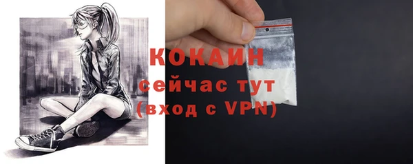 твердый Семилуки
