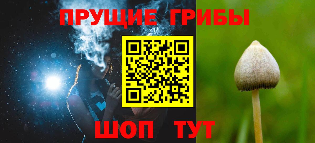 Псилоцибиновые грибы Magic Shrooms  Спасск-Дальний  Псилоцибиновые грибы прущие грибы 